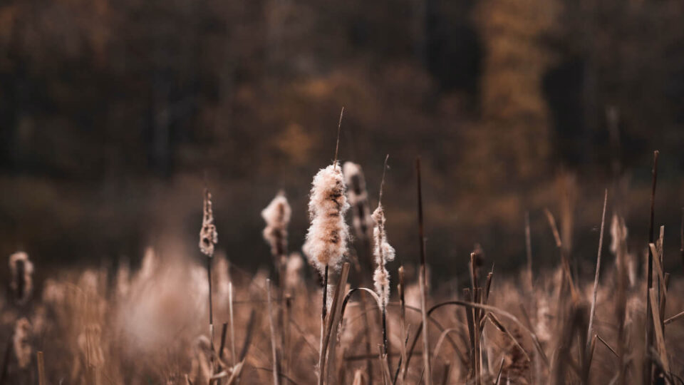 November mood